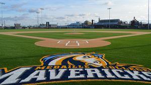 Baseball Turf