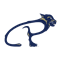 Medaille