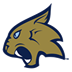 Thiel Logo
