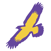 Elmira Logo