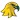 SUNY Brockport