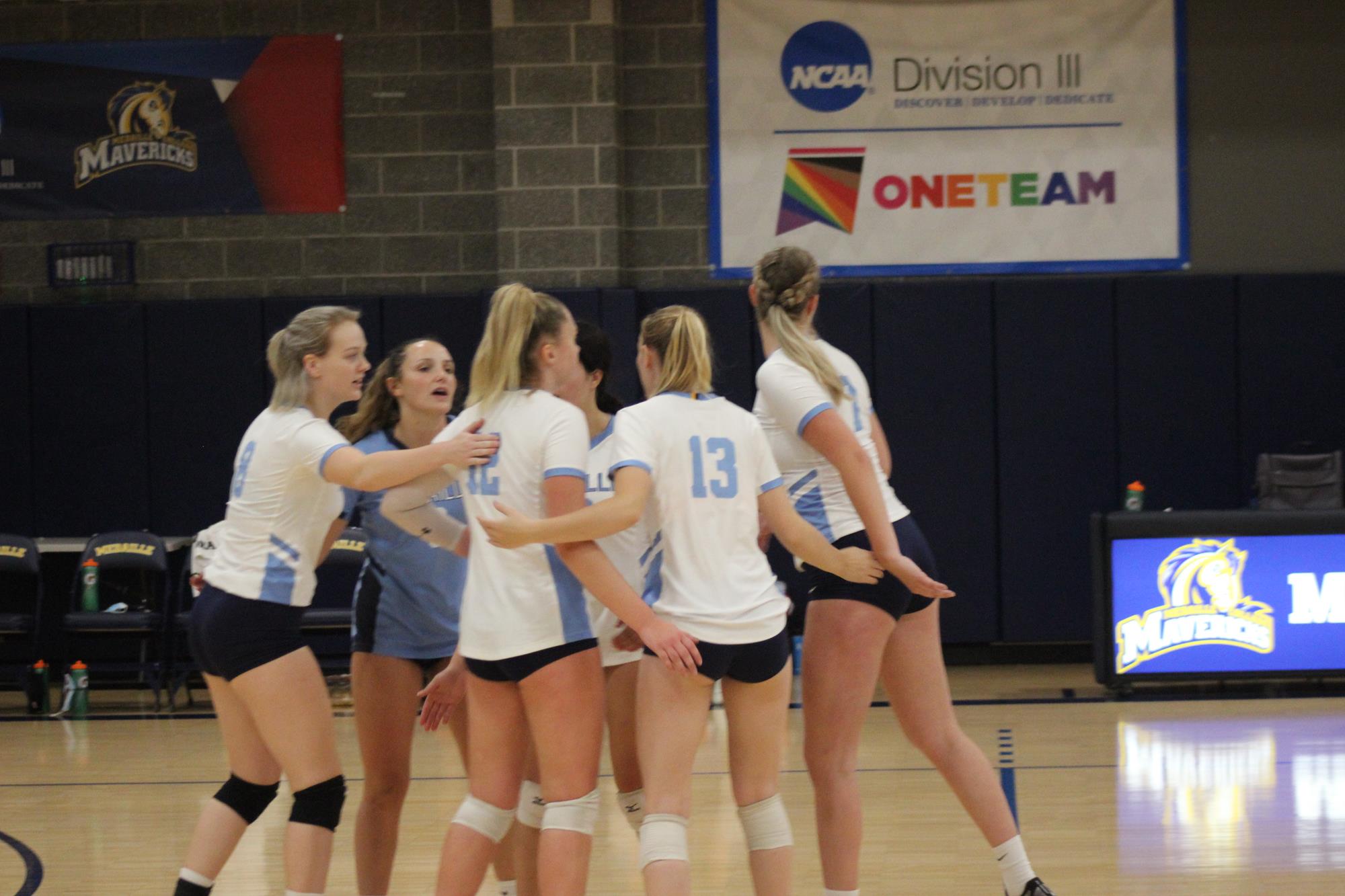 volleyball