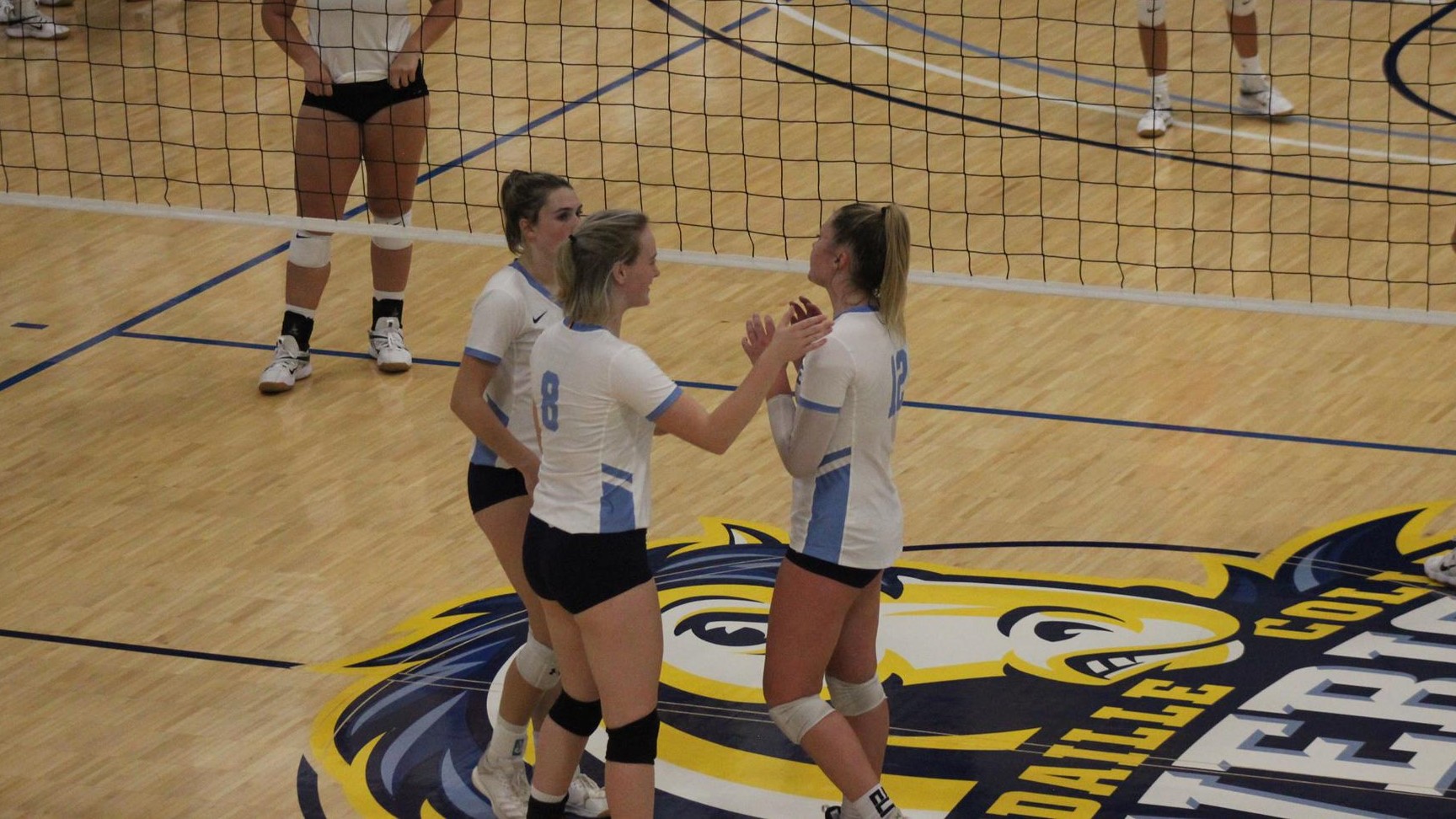 VB Pic