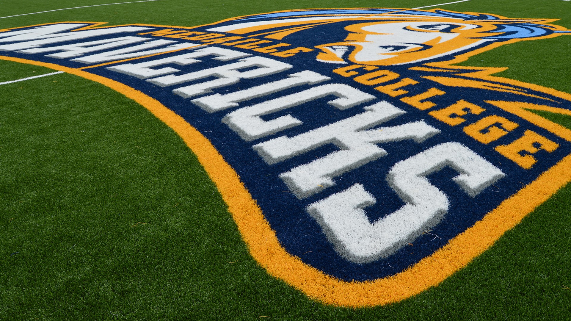Field Logo