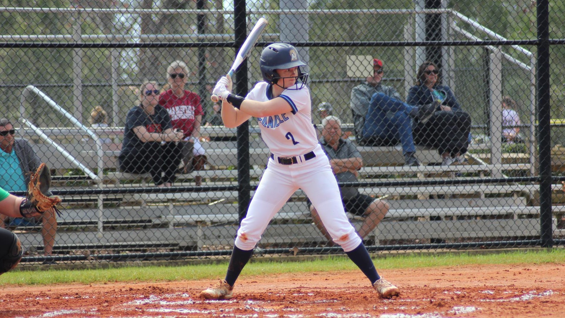 Lyons at Bat